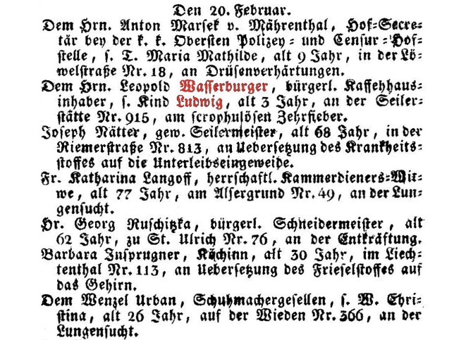 Ludwig Wasserburger