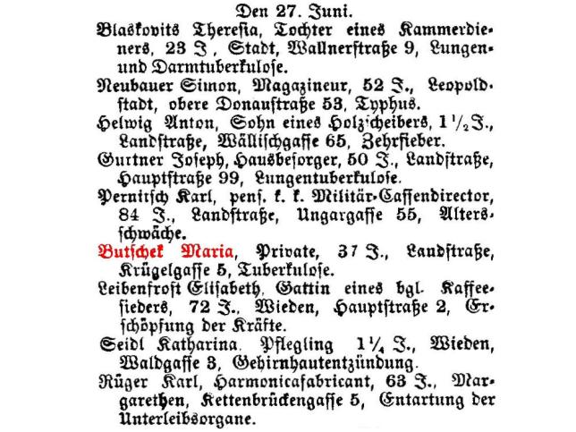 Marie Butschek