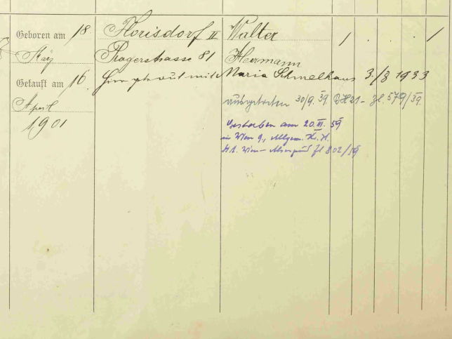 Walter Hermann Handl