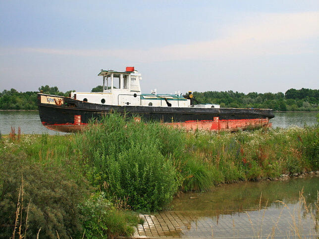 Donauschiff Erika