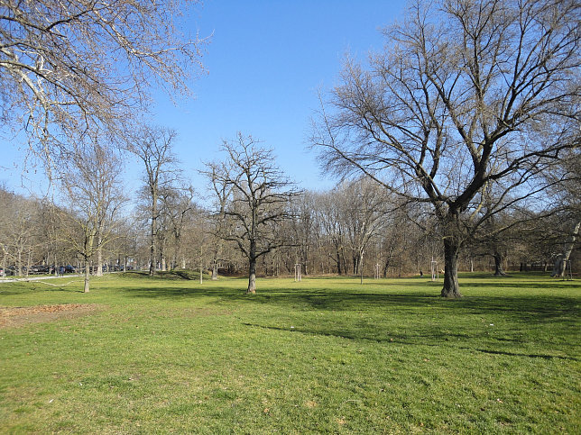 Wasserwiese