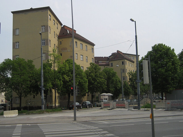 Elderschhof