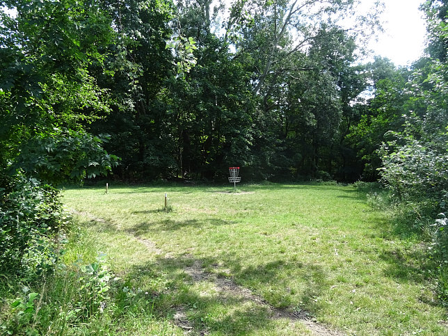 Golfwiese