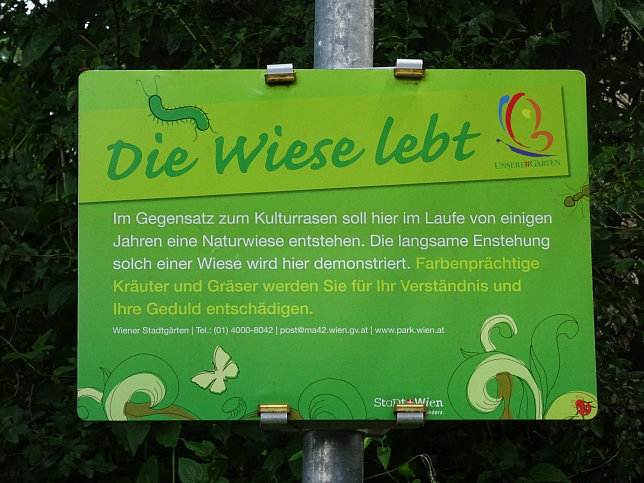 Golfwiese