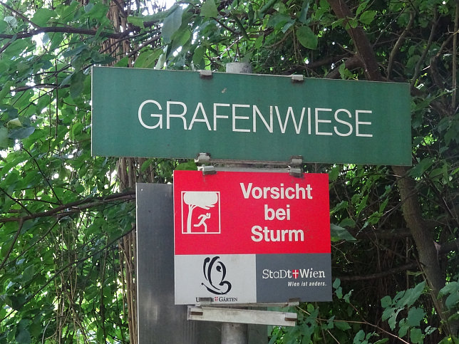 Grafenwiese