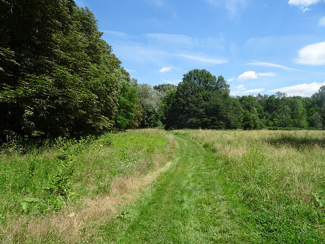 Grafenwiese