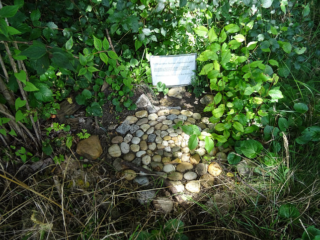 Grafenwiese