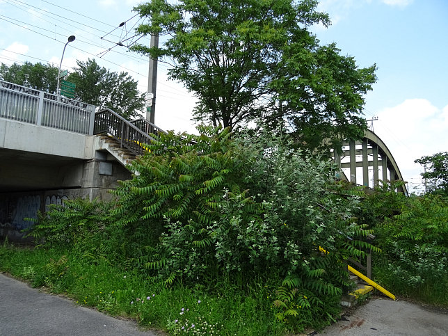 Ostbahnbrcke und Ostbahnsteg