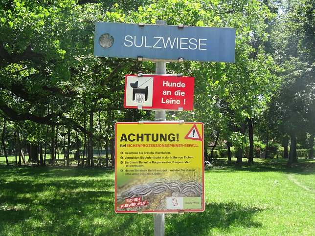 Sulzwiese