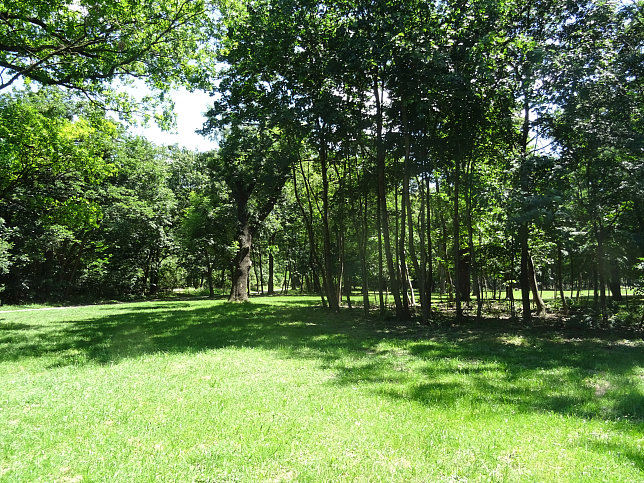 Sulzwiese