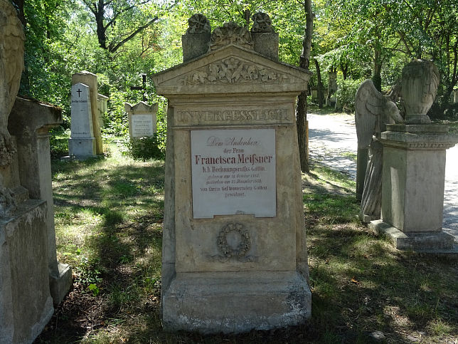 Francisca Meiner