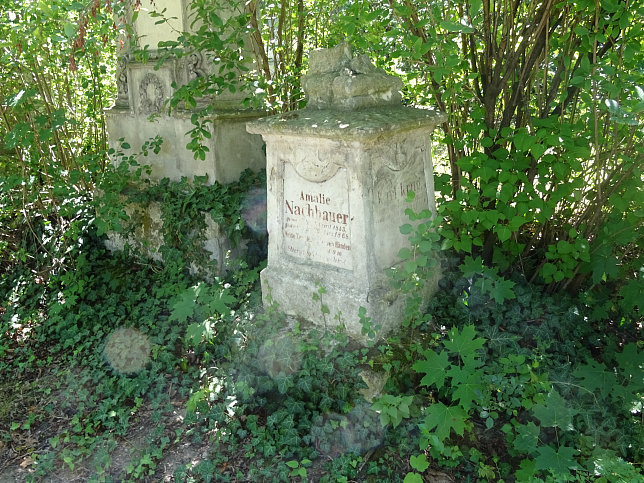 Amalie Nachbauer