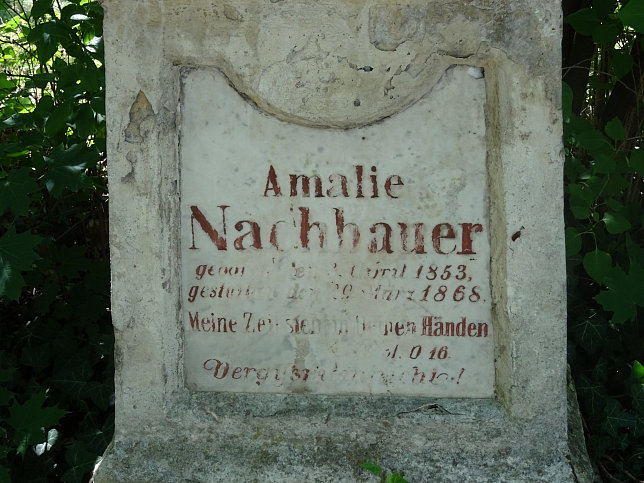 Amalie Nachbauer
