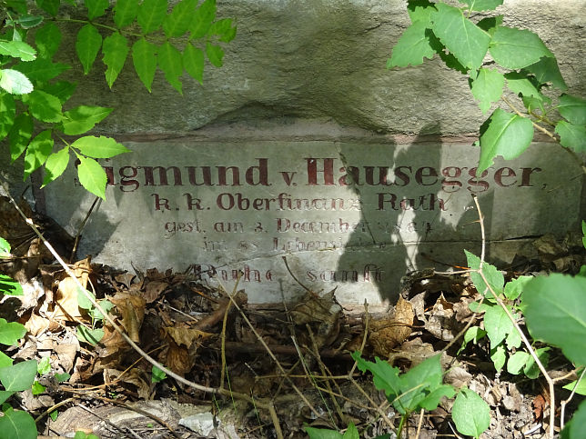 Mina und Sigmund von Hausegger