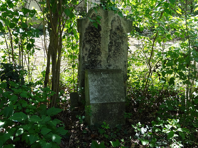 Ida Pfeiffer