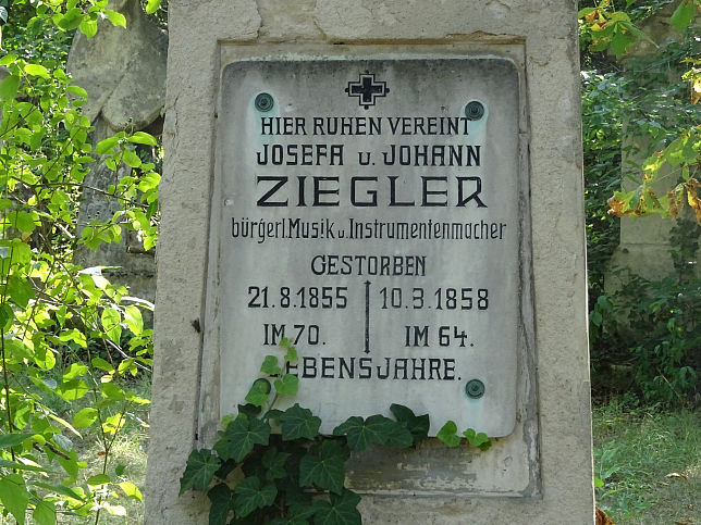 Johann Ziegler