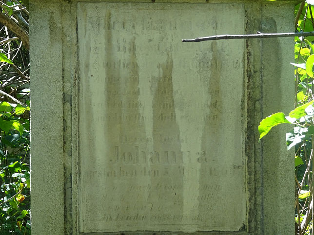Johanna Bacsmeygei