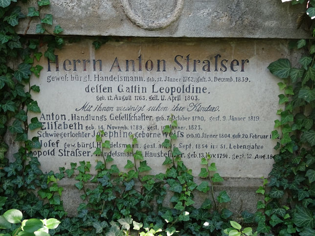 Anton Strasser