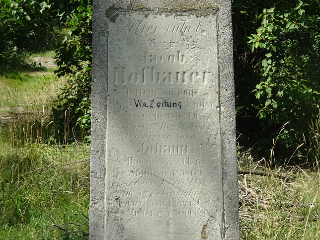 Jacob Hofbauer