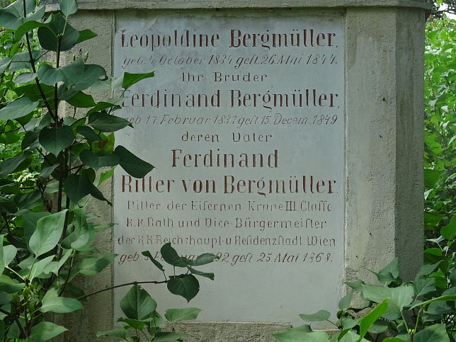Ferdinand Ritter von Bergmller