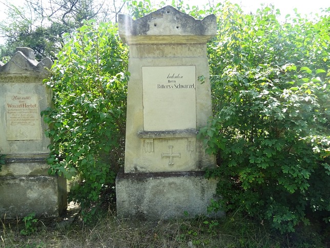 Anton Ritter von Schwarzel
