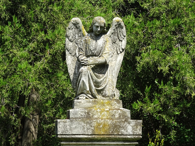 Johann Georg Albrechtsberger