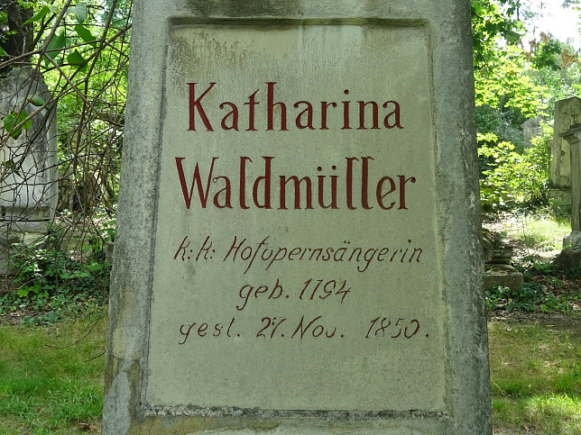 Katharina Waldmüller