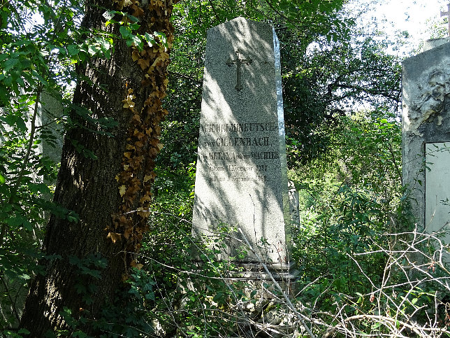Wilhelmine Utsch von Gillenbach, verwitwete Metaxa, geborene Wachter
