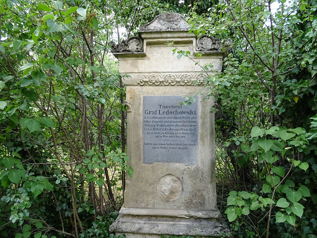 Timotheus Ledchowski