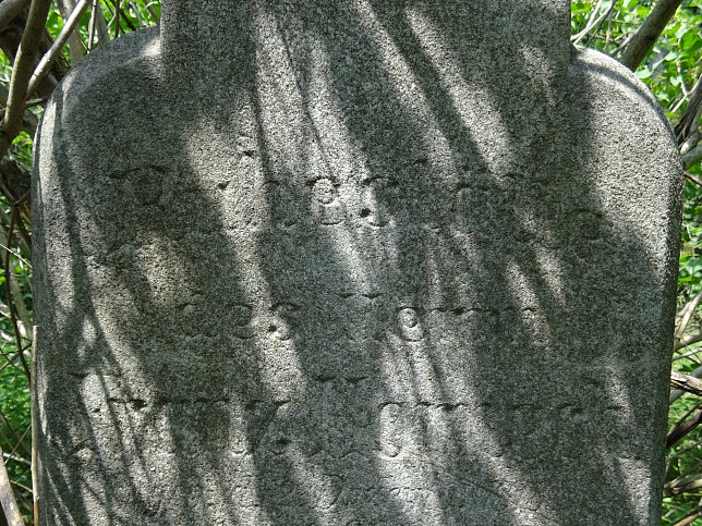 Franz Hornek