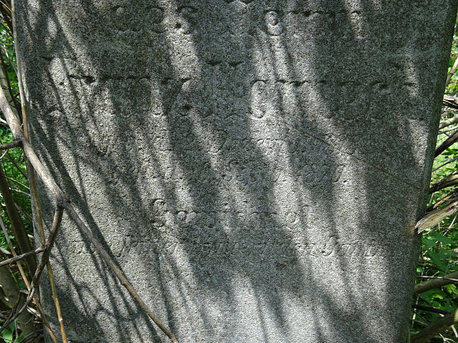 Franz Hornek