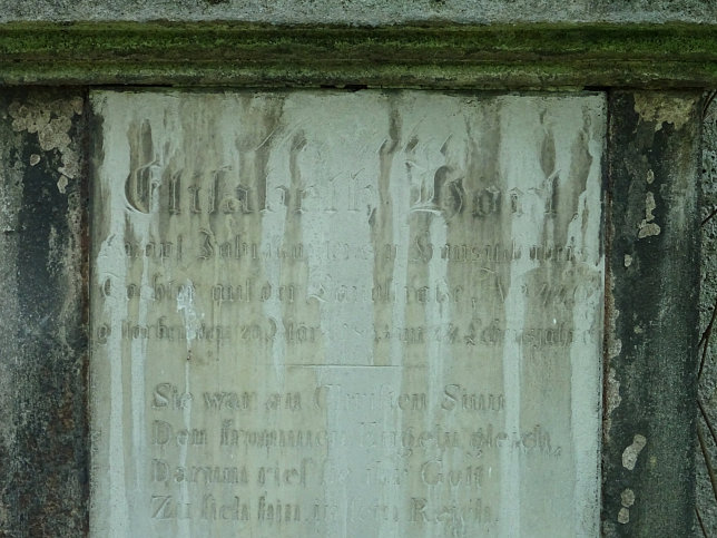Elisabeth Hrl