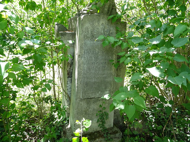 Joseph Karl Stein-blein