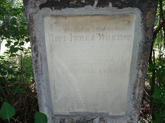 Ignaz Wagner
