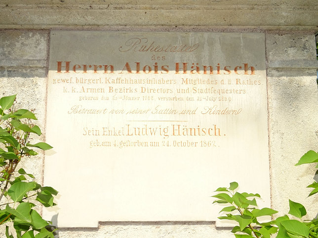 Alois Hnisch