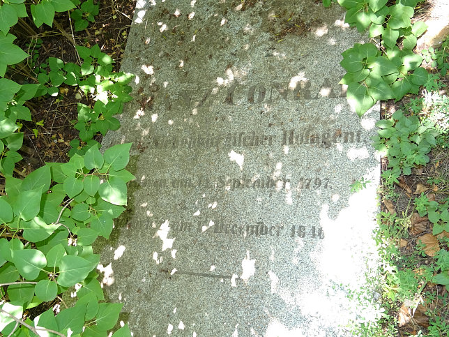 Franz Conrad