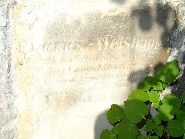 Therese Weishappel