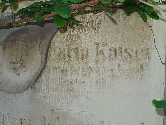 Johann Kaiser