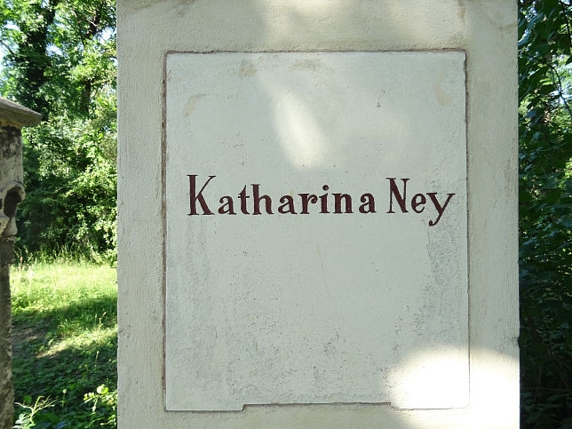 Katharina Segatta-Ney