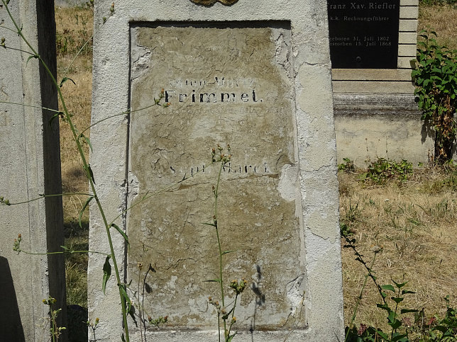 Anton Moriz Frimmel
