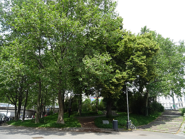 Schubertlinde im Resselpark