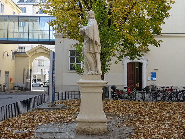 Hl. Johannes von Nepomuk, Altes AKH