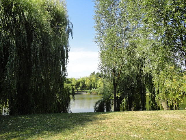 Volksparkteich