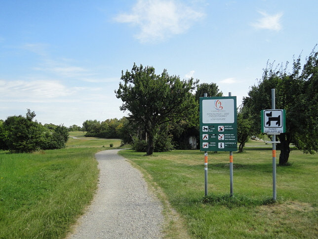 Lwygrube