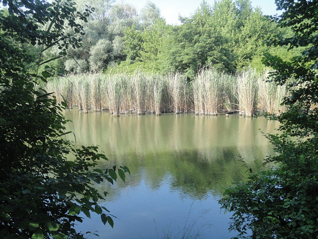 Kurpark Oberlaa