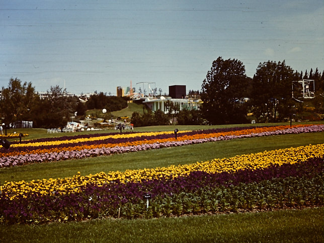WIG 1974