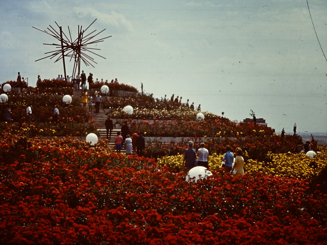 WIG 1974