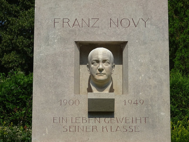 Franz Novy