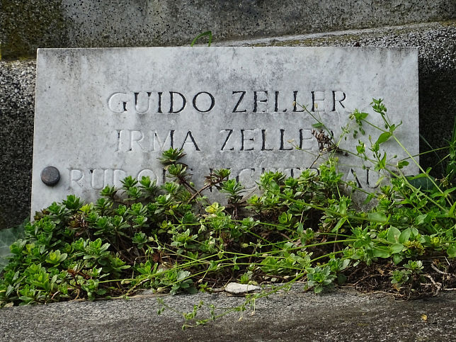 Alois Ritter Zeller von Zellhain
