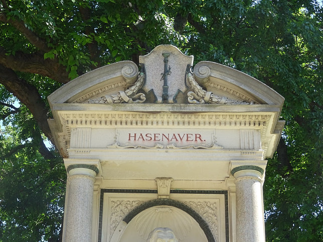 Carl von Hasenauer